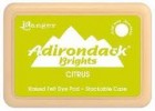 Ranger Adirondack Brights Citrus