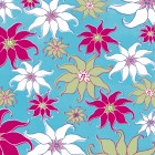 Imagination Project Chills 'n' Thrills What's the Poinsettia