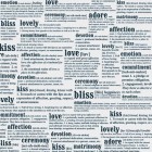 Teresa Collins Mr. & Mrs. Words Transparency