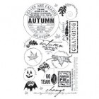 BasicGrey Wholy Cow! Autumn Rub-ons