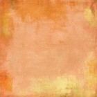 BasicGrey Marrakech Mandarin Slice