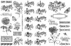 N/A Acrylic Graphic 45 Time to Flourish Stamp Set
