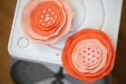 Prima Lollipops Coral