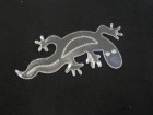 Clear Acrylic Acrylique Lizard