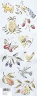 K &amp; Company Brenda Walton Chelsea Country Images