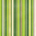 Imagination Project Some Kind of Green Stand-Alone Stripes