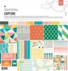 Various Paper BasicGrey Capture Collection Pack