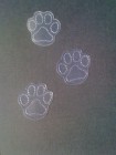 Clear Acrylic Acrylique Paw Print