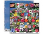 Donna Salazar Memory Mosaics Flowers & Nature