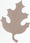 Brown Chipboard The Chipboard Store Oak Leaf