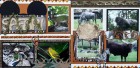 Safari Scrapbook Page Kit